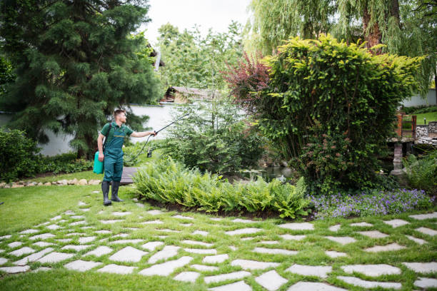Best Pest Prevention Services  in Glen Ellen, CA