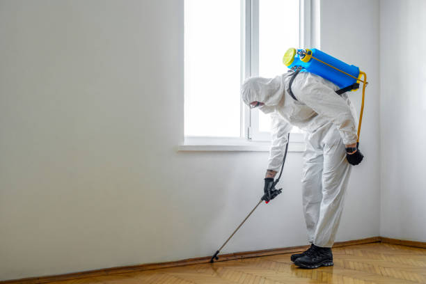 Best Local Pest Control Services  in Glen Ellen, CA