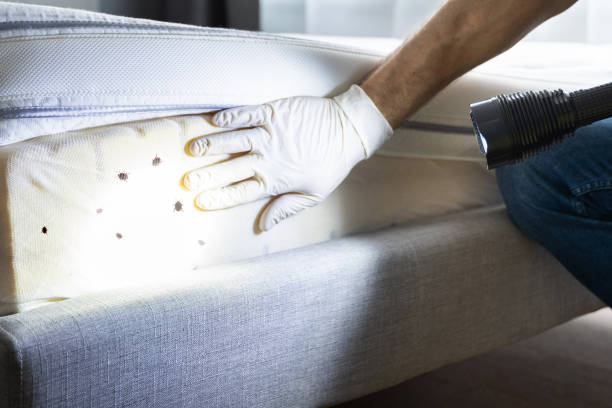 Best Mosquito Control Services  in Glen Ellen, CA