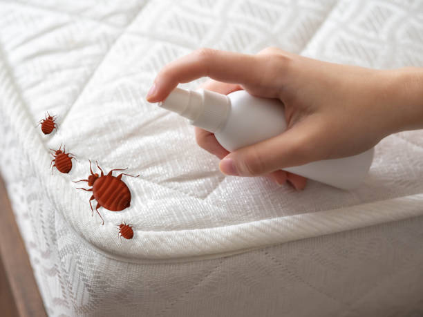 Best Pest Removal Services  in Glen Ellen, CA
