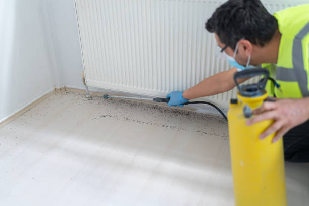 Best Flea Control Services  in Glen Ellen, CA